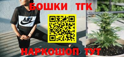 соль ск Дубна