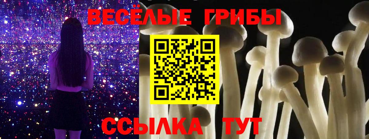 Псилоцибиновые грибы MAGIC MUSHROOMS Первоуральск