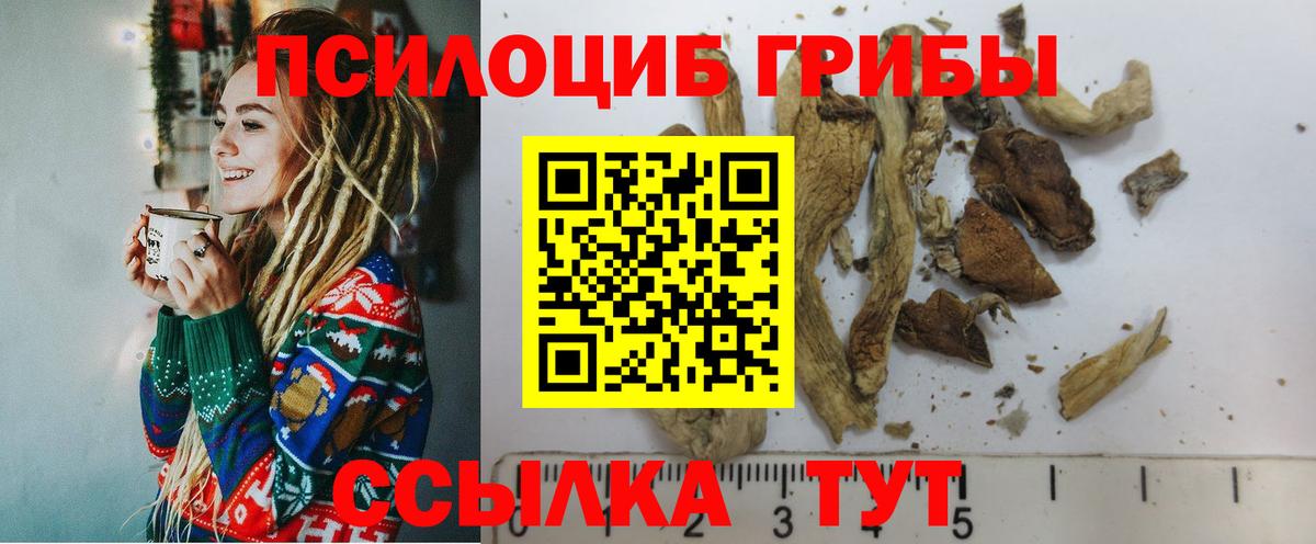 Галлюциногенные грибы прущие грибы  Вход с VPN  Псилоцибиновые грибы Magic Shrooms  Первоуральск 
